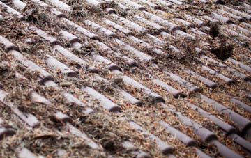 Wootton Green roof cleaning companies